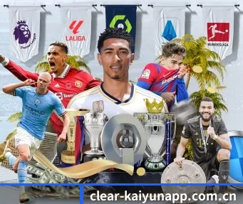 clear-kaiyunapp.com.cn APP